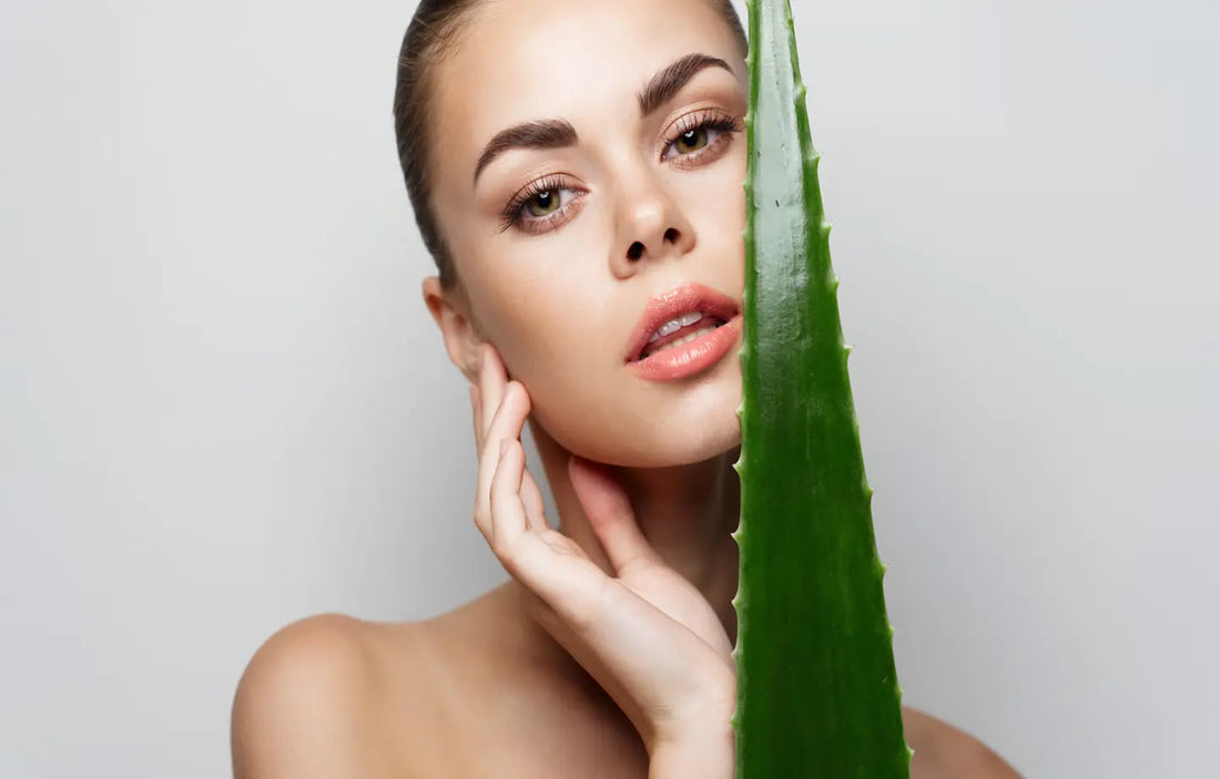 Aloe Vera Skin Benefits - A Guide to Herbsasia Cleansing Cream