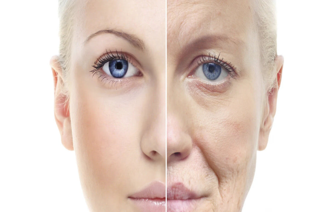Understanding the Process of Anti Aging and Its Treatments