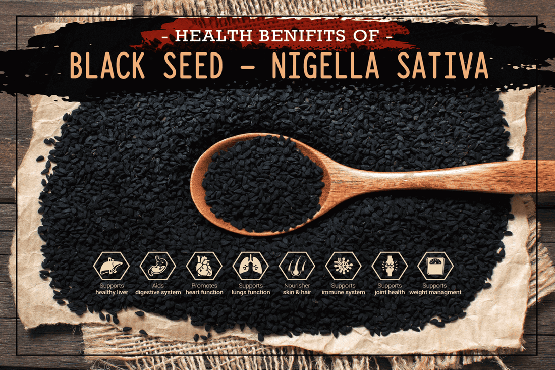 black seed benefits nigella sativa