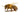 interesting facts of honey bees